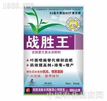 ��(zh��n)����-�����r(n��ng)��