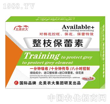 ��֦������-�����r��