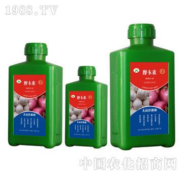 �������[��(zhu��n)�ð���������Һ�ķ�-Ħ����-��(qi��ng)о��(gu��)�H