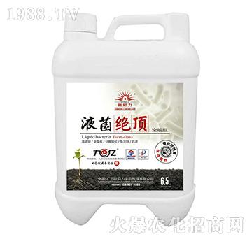 Һ���^픣�ȫ���ͣ�-����