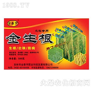 ��̩��-������