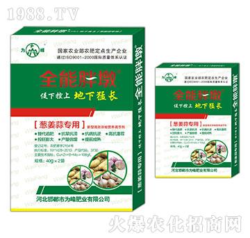 �[���⌣��-ȫ���ֶ�-���