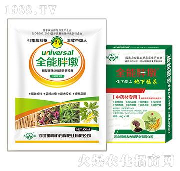 ��ˎ�Č�(zhu��n)��-ȫ���ֶ�-���