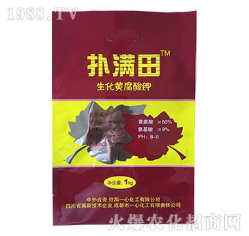 �����S�����-��M��-һ�Ļ���