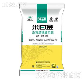 �װ׽�-����������{��-����