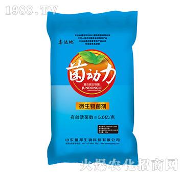 ����(d��ng)��΢�������-�˰�����