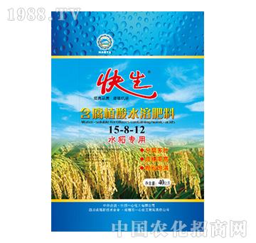 ����ֲ��ˮ�ܷ���-����-һ�Ļ���