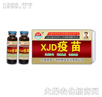 18gXJD����-�挚�r(n��ng)��