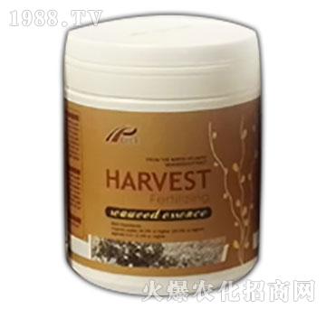 �������Ｄ����-��ɪ��