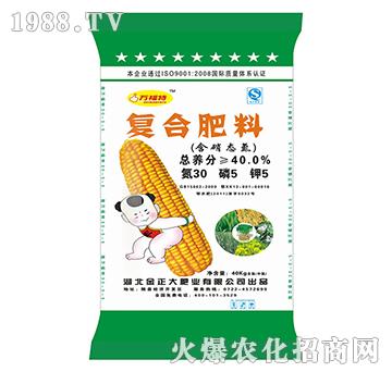 �ͺϷ���30-5-5-�f����-ïʢ