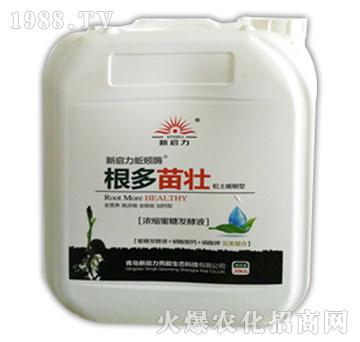 根多苗壯-新啟力