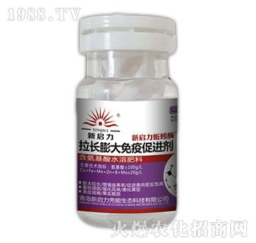 ���L(zh��ng)������ߴ��M(j��n)��-����