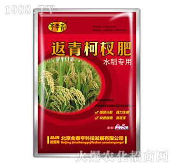 ˮ�������辷�-��̩��