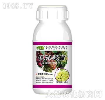 ֲ�����磨���ь�(zhu��n)���ͣ�-���S¡-��(qi��ng)