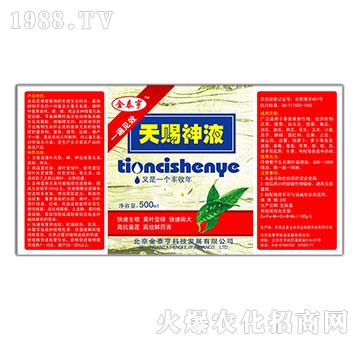 ���n��Һ-��̩��