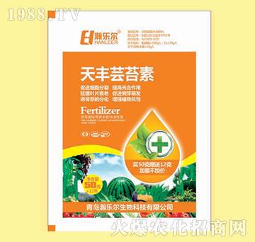 ���S��̦��-嫘���