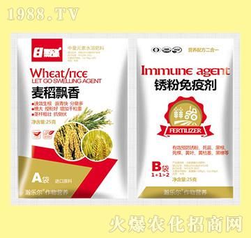 �����h��+�P�����߄�-嫘���