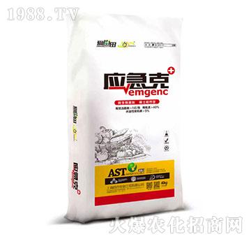 ������΢�������-������-�������