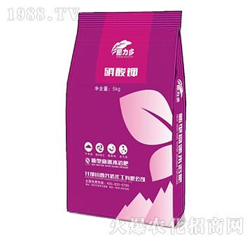 �����-������-�d�_(d��)����