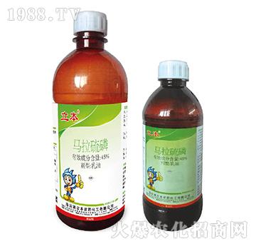 45%�R����������-��������