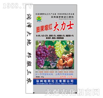 ������t����ʿ-�ذ�Ȫ