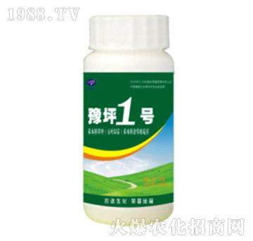 ԥƺ1̖-�r(n��ng)�_(d��)����