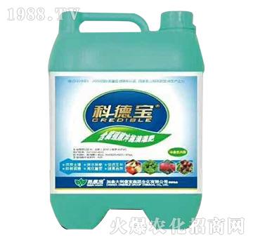 ����ֲ��_ʩ�ι��-�Ƶ�