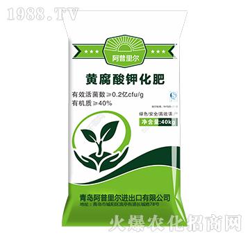 �S����⛻���-�����