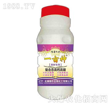 ���䌣�����ϑB(t��i)���}����-һ����