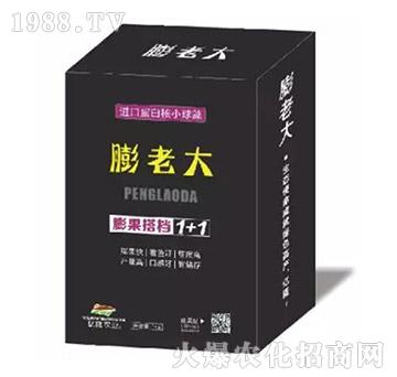 �����n1+1-���ϴ�-�|¡�r�I(y��)