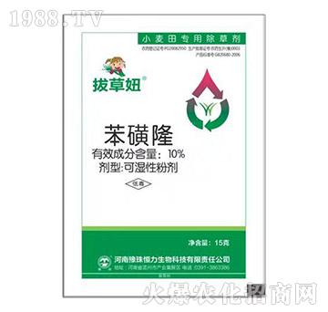 10%����¡-�β��-ԥ�����