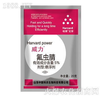 5%���x��-����-���¿��r