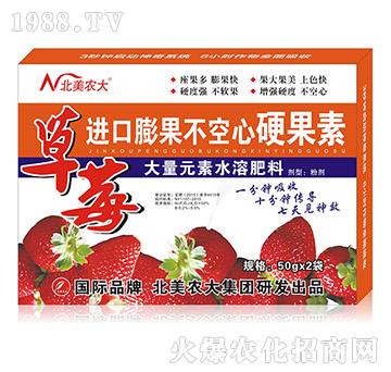 草莓進口膨果不空心特效素-北美農(nóng)大