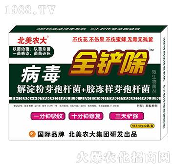 ����ȫ�P��-�����r(n��ng)��