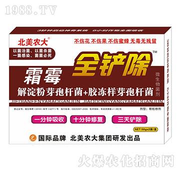 ˪ù-ȫ�P��-�����r(n��ng)��