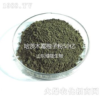 ����ľù���ӷ�-�G�]����