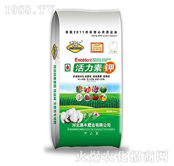 �������-��ţ�ʘI(y��)