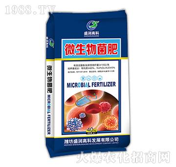 ΢�������-ʢ���߿�