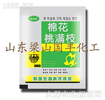 �޻��ҝM֦��25g��-��ɽ���S