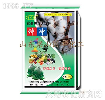 新神沖1號(hào)（25kg）-梁山國(guó)豐