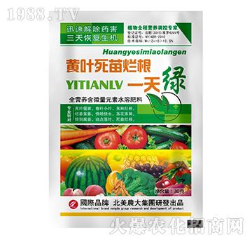 黃葉死苗爛根一天綠-北美農(nóng)大