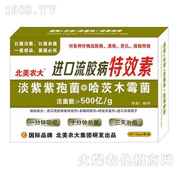 進(jìn)口流膠病特效素-北美農(nóng)大