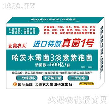 �M(j��n)����Ч���1̖-�����r(n��ng)��