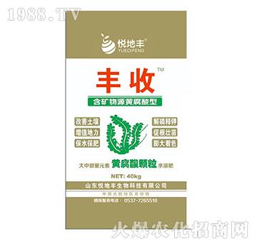 ���V��Դ�S������-�S��-�����S