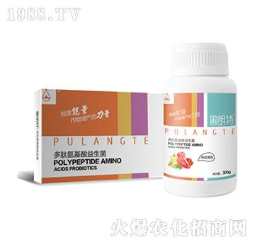 ��������-���İ�����������-������