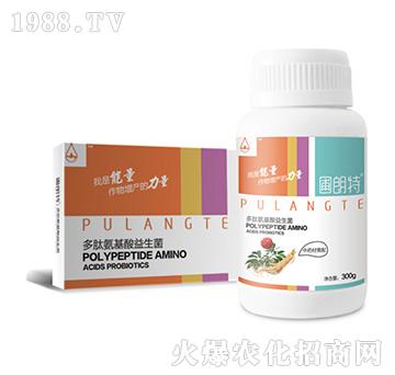 ��ˎ��ͨ��-���İ�����������-������