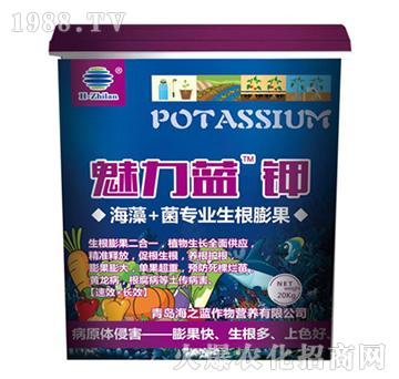 魅力藍鉀-海之藍