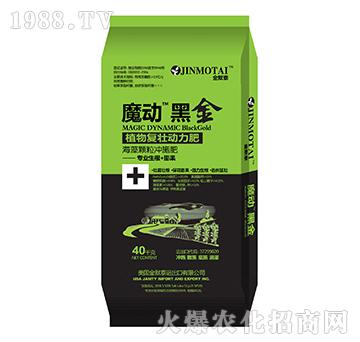 ħ�Ӻڽ�-��֮�{(l��n)