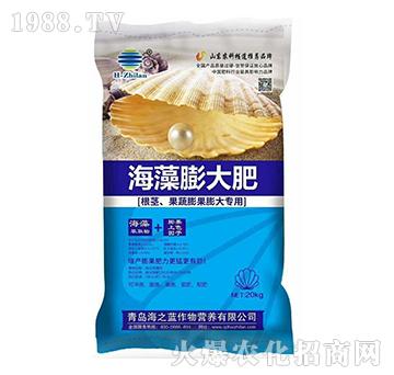 ��������-��֮�{(l��n)