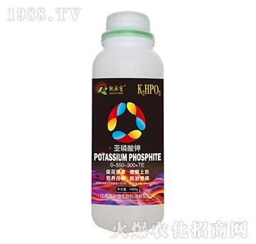 �������-�P�L(zh��ng)��